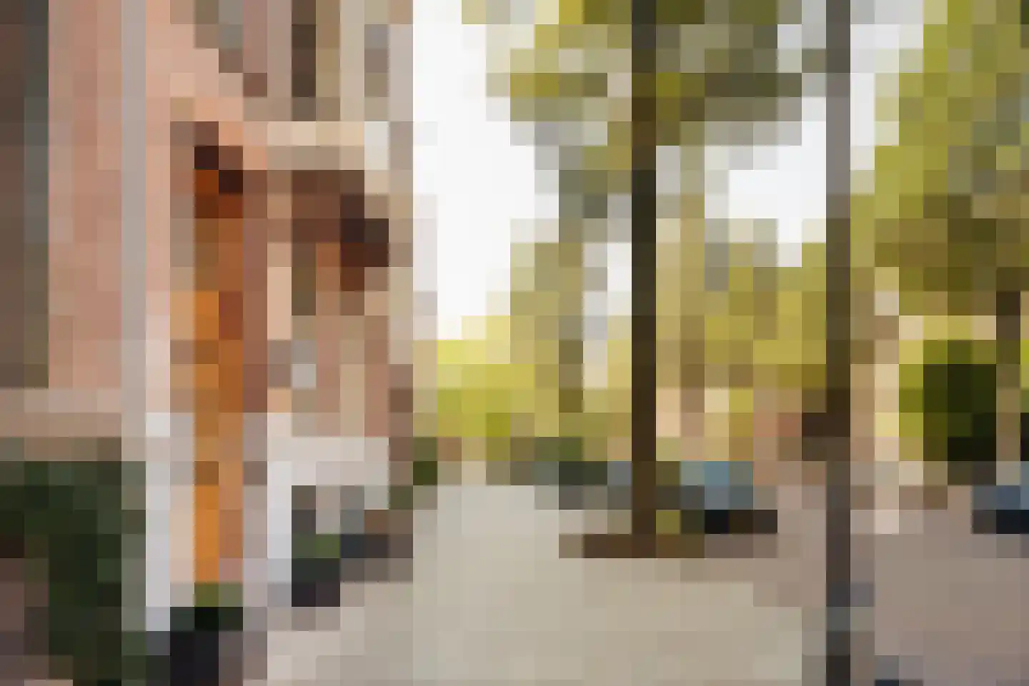 Van Eeghenstraat 125 Amsterdam thumbnail 7
