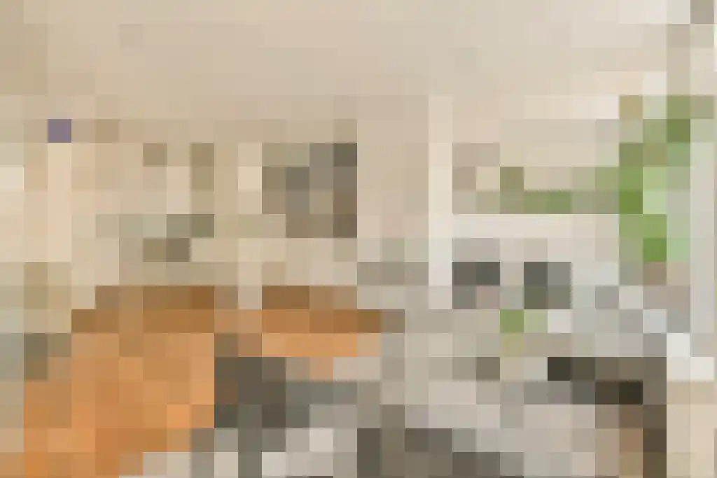 Van Eeghenstraat 20 O Amsterdam thumbnail 4