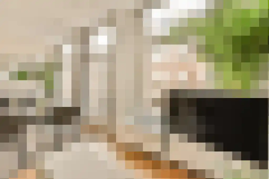 Van Eeghenstraat 20 O Amsterdam thumbnail 5