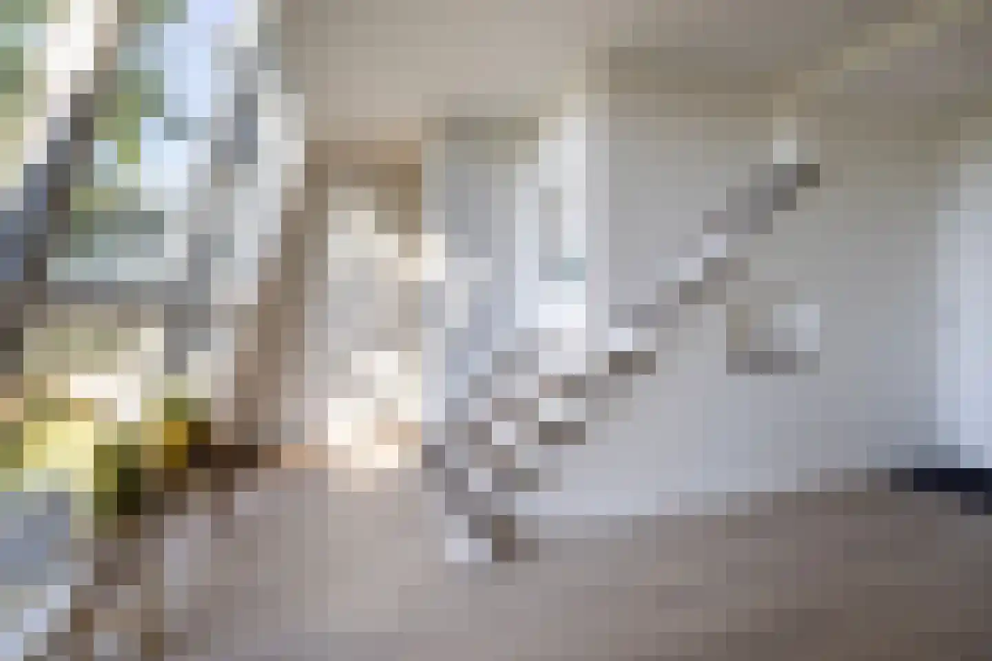 Van Eeghenstraat 206 Amsterdam thumbnail 29