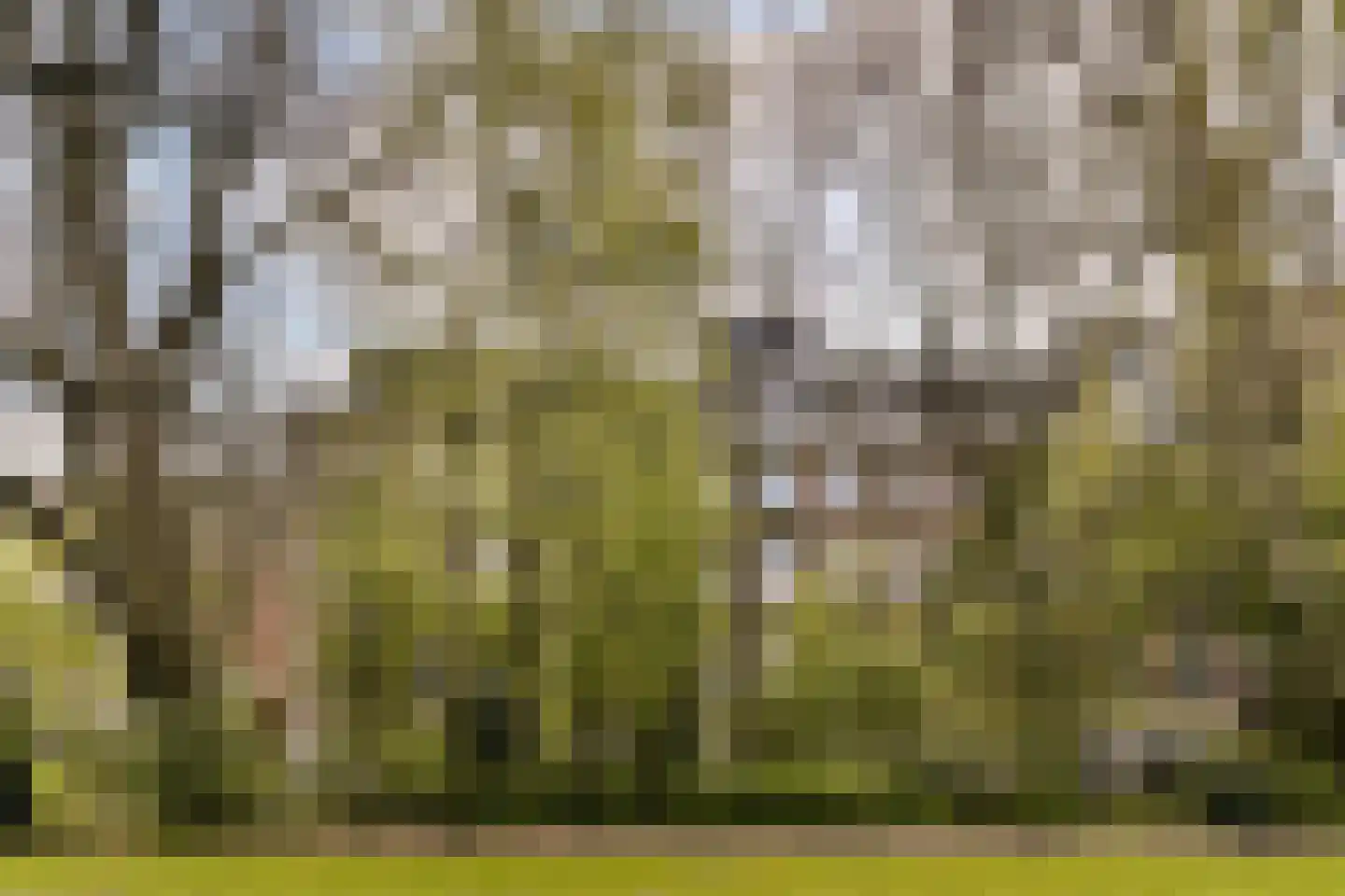 Van Eeghenstraat 206 Amsterdam thumbnail 45