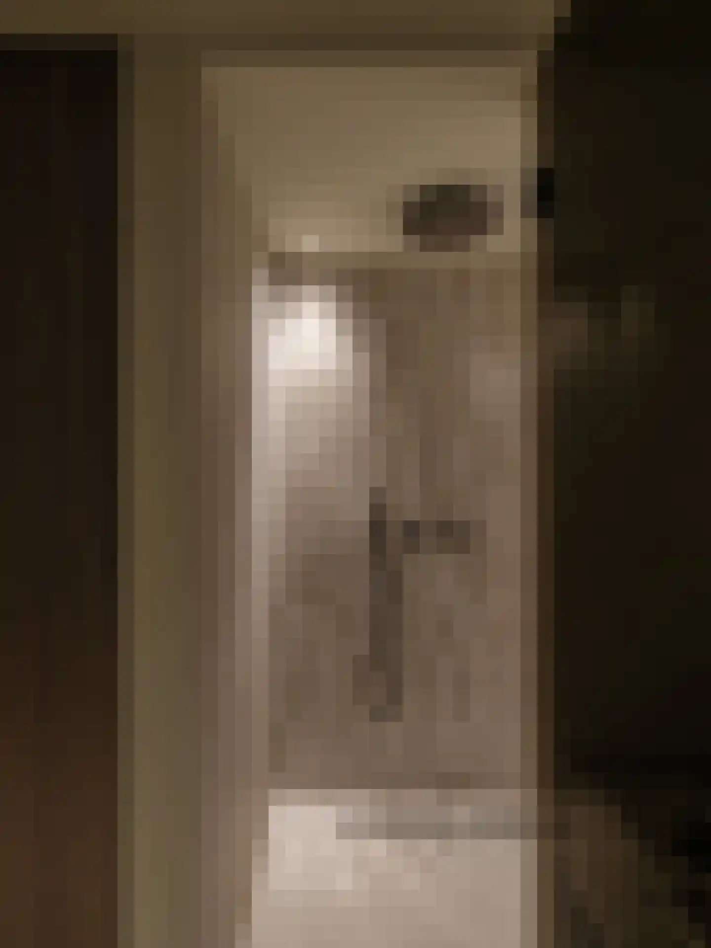 Van Eeghenstraat 21 H Amsterdam thumbnail 69