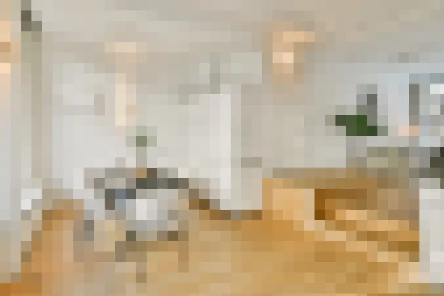 Van Eeghenstraat 26 H Amsterdam thumbnail 12