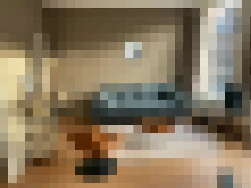 Van Eeghenstraat 30 Amsterdam thumbnail 4