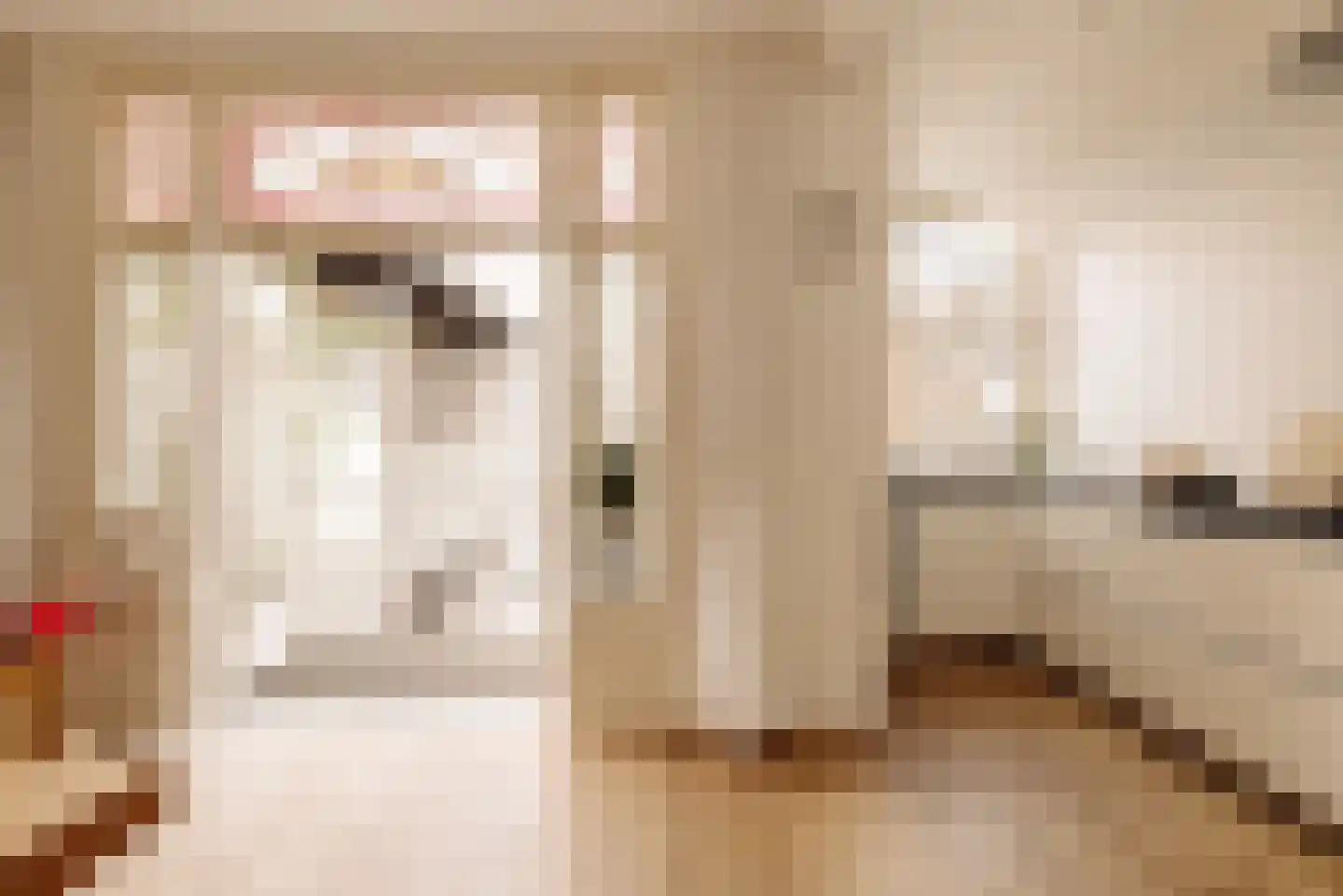 Van Eeghenstraat 32 1 Amsterdam thumbnail 4