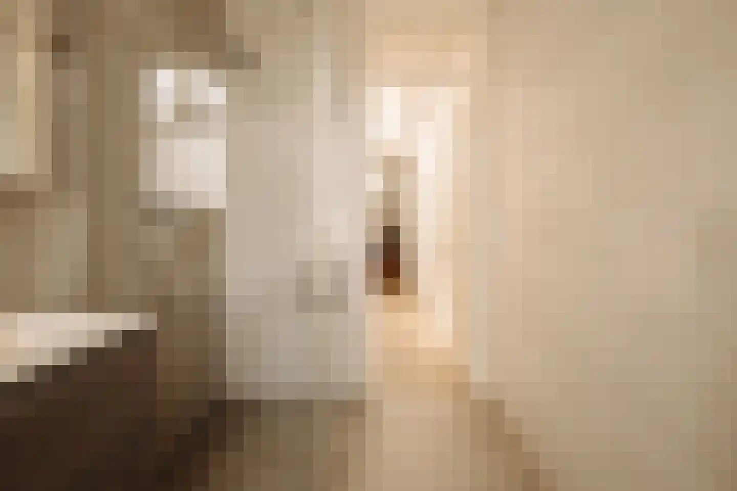 Van Eeghenstraat 32 2 Amsterdam thumbnail 19