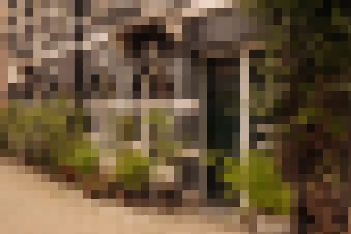 Van Eeghenstraat 32 2 Amsterdam thumbnail 27