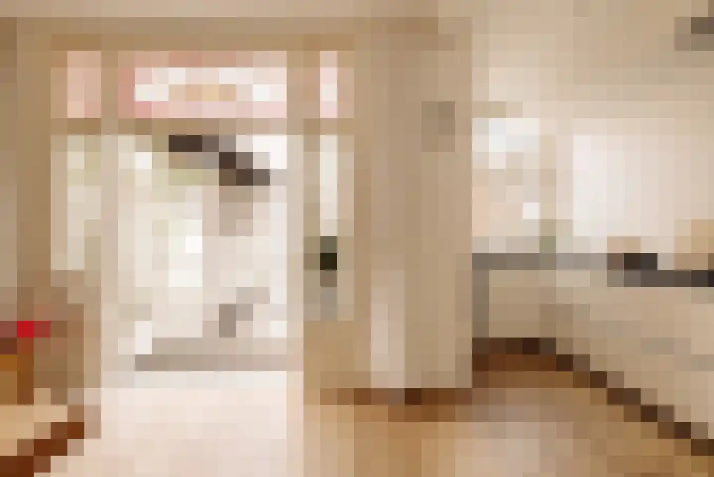 Van Eeghenstraat 32 2 Amsterdam thumbnail 4