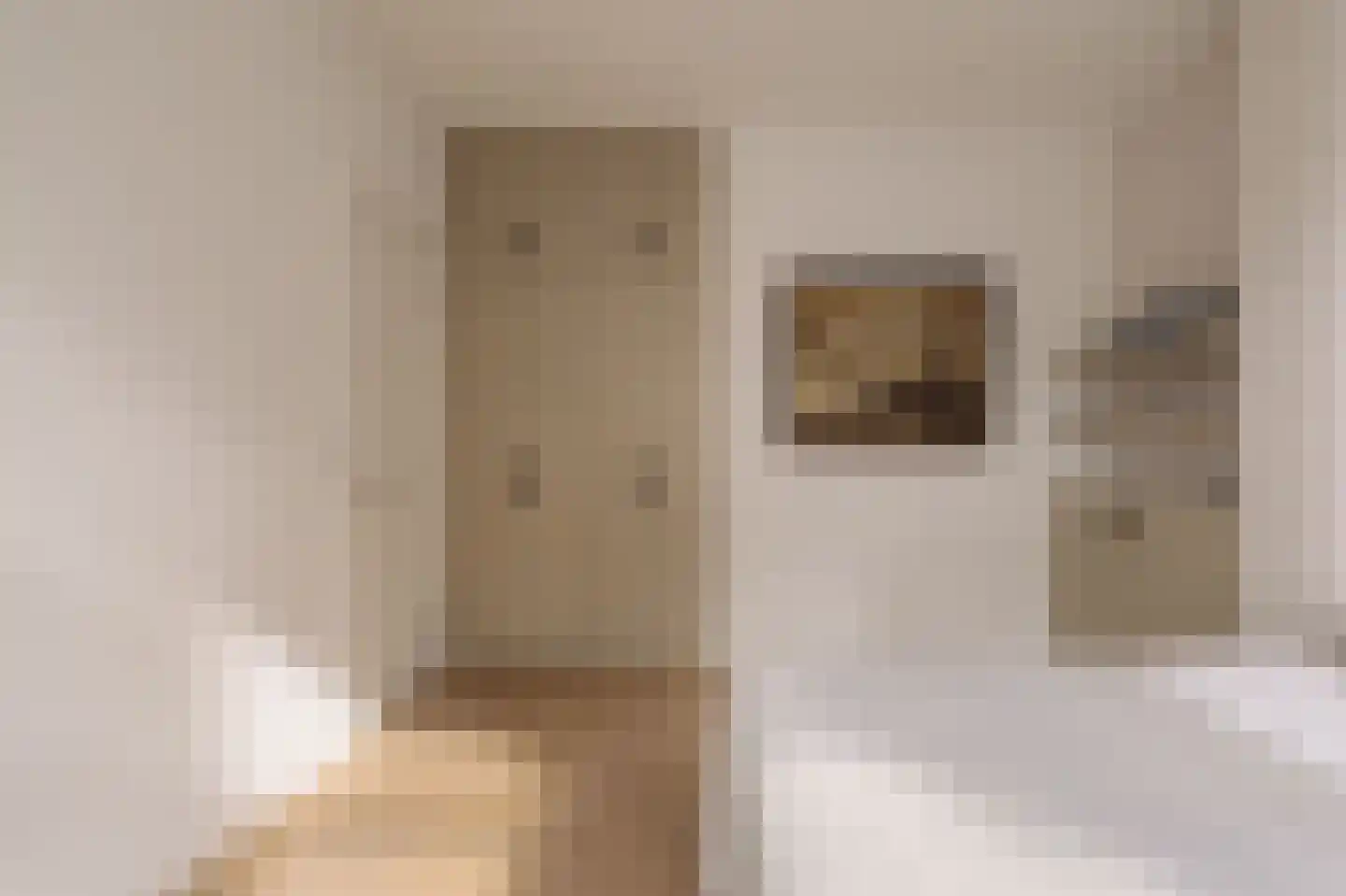 Van Eeghenstraat 4 H Amsterdam thumbnail 38