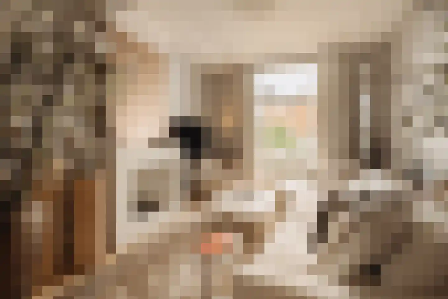 Van Eeghenstraat 47 2 Amsterdam thumbnail 20