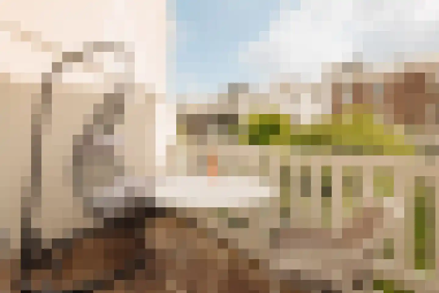 Van Eeghenstraat 47 2 Amsterdam thumbnail 21