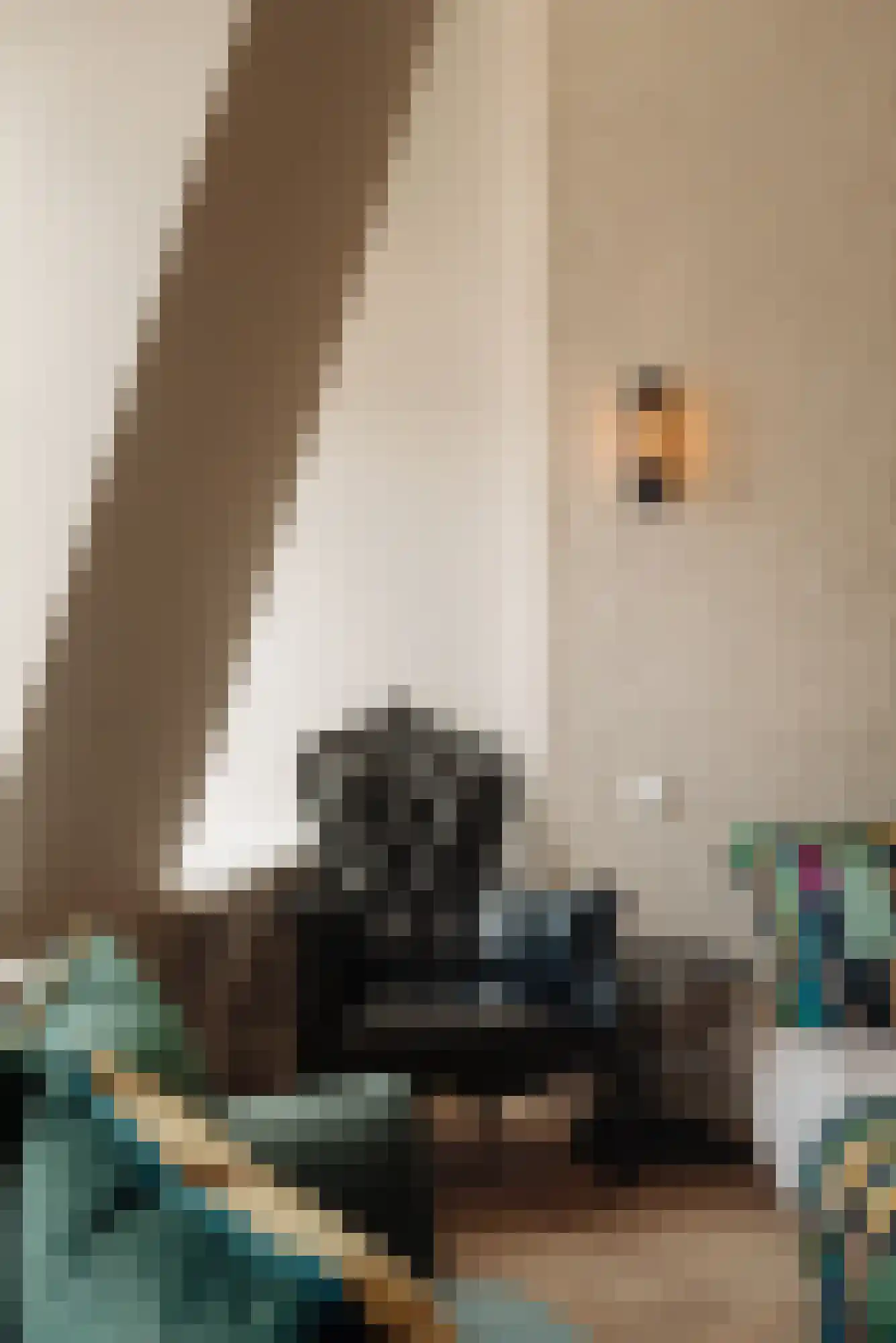 Van Eeghenstraat 47 2 Amsterdam thumbnail 36