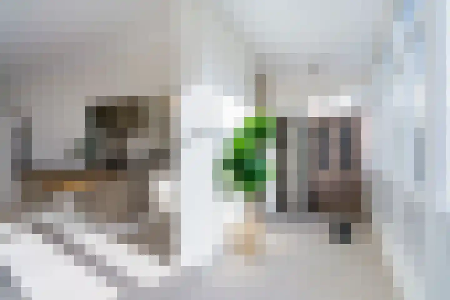 Van Eeghenstraat 55 A Amsterdam thumbnail 7