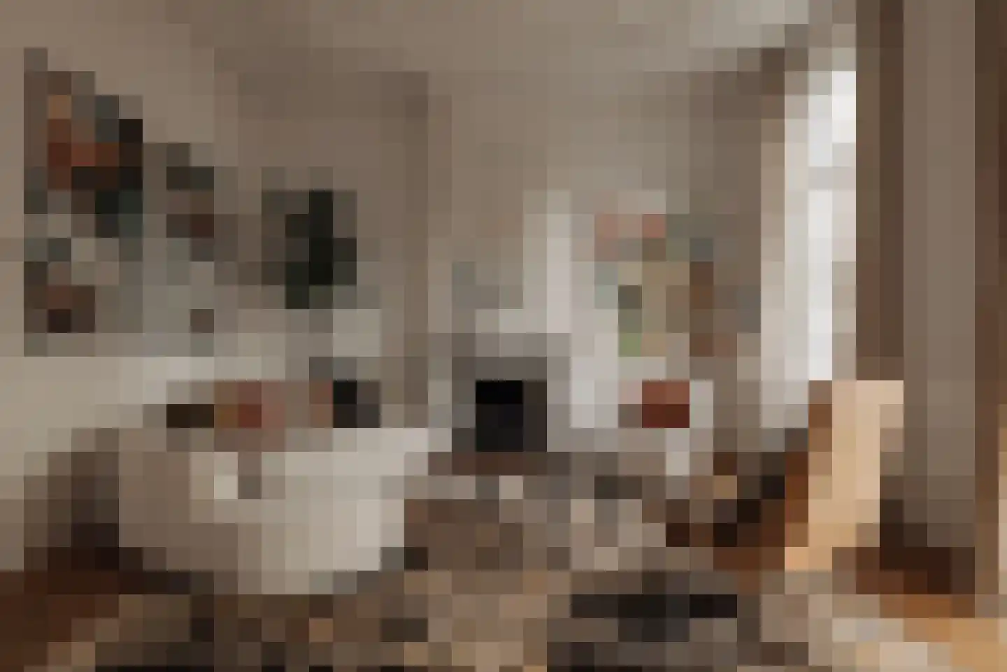 Van Eeghenstraat 57 Amsterdam thumbnail 13