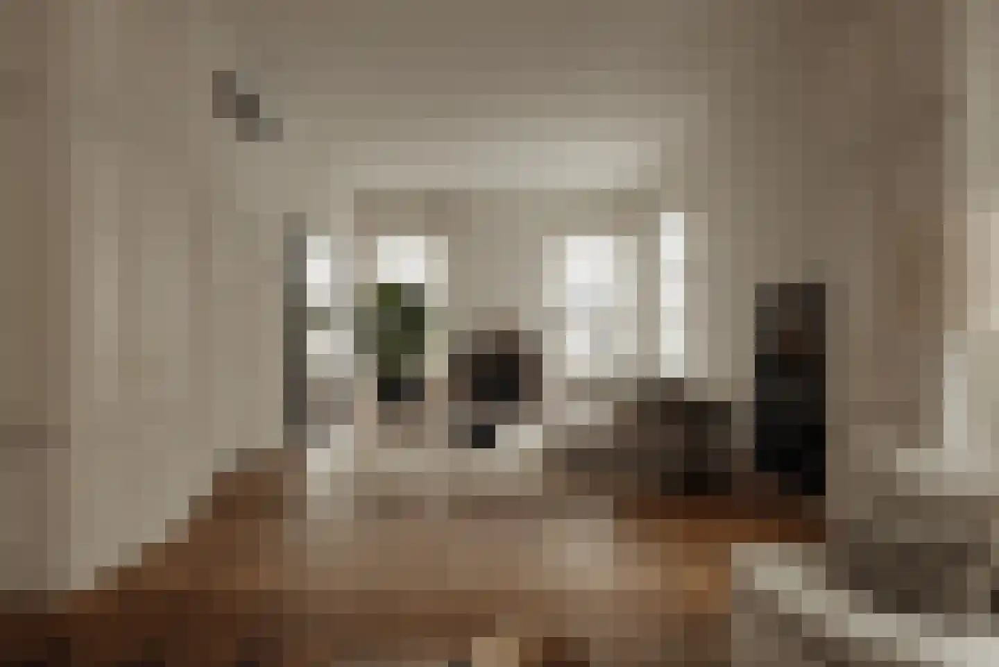 Van Eeghenstraat 57 Amsterdam thumbnail 4