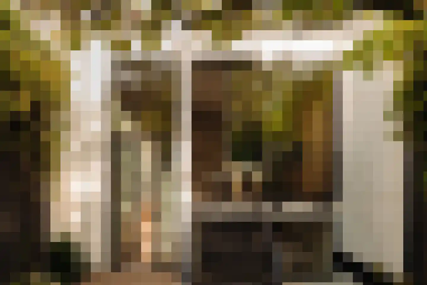 Van Eeghenstraat 75 Amsterdam thumbnail 11
