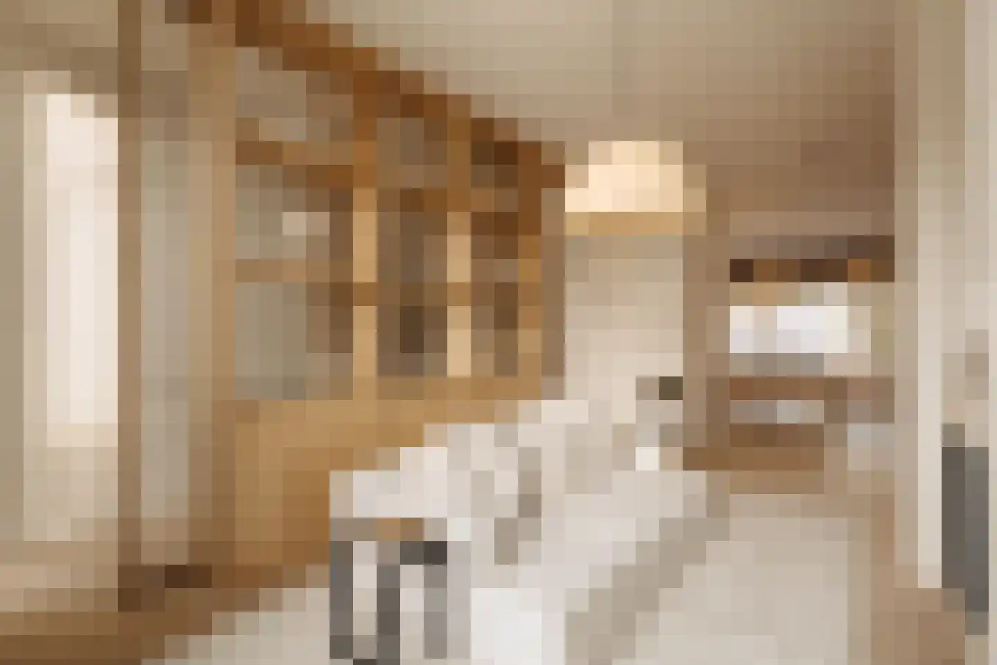 Van Eeghenstraat 75 Amsterdam thumbnail 19