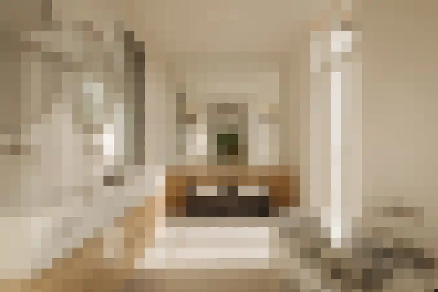 Van Eeghenstraat 75 Amsterdam thumbnail 32