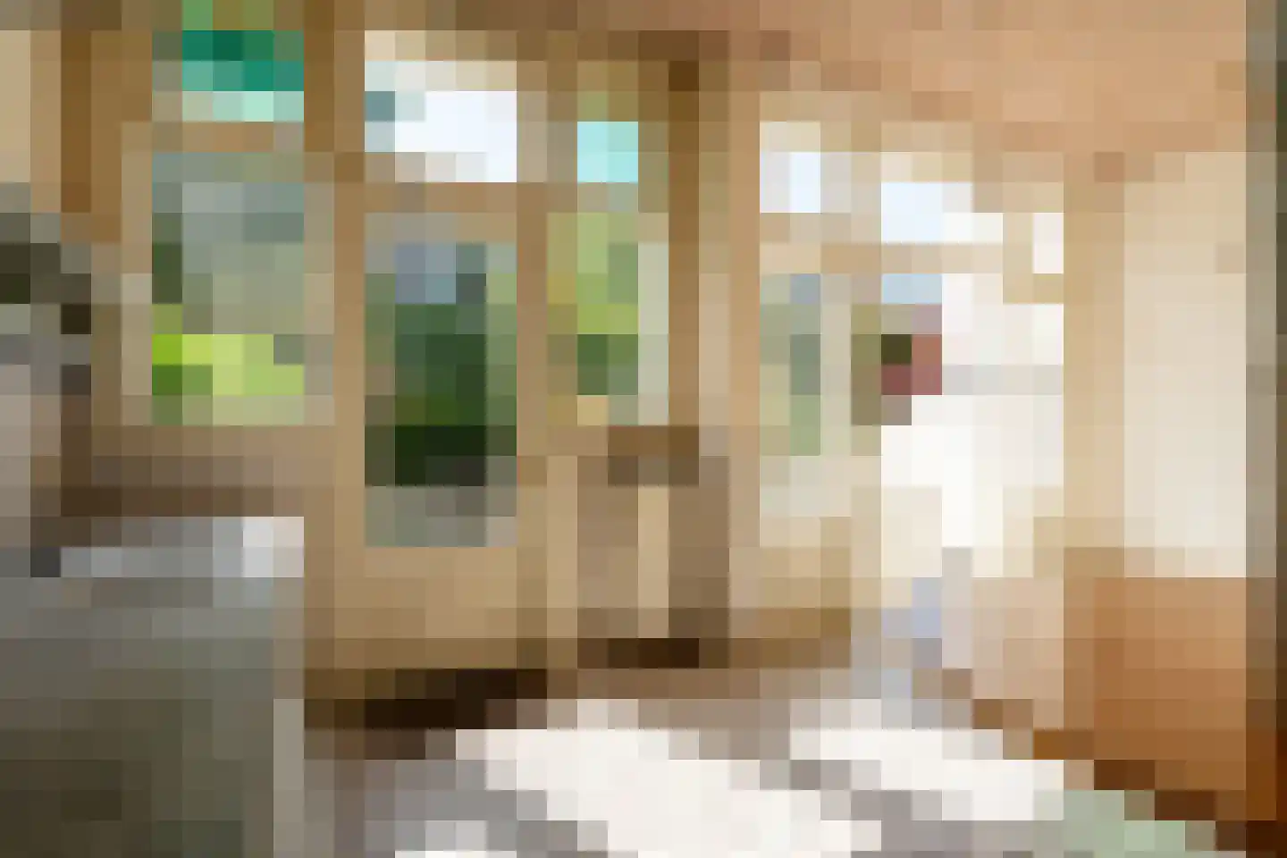 Van Eeghenstraat 79 Amsterdam thumbnail 14