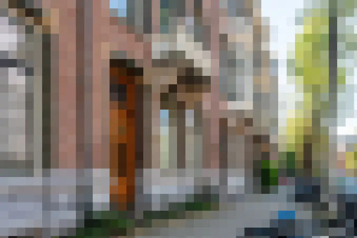 Van Eeghenstraat 79 Amsterdam thumbnail 39