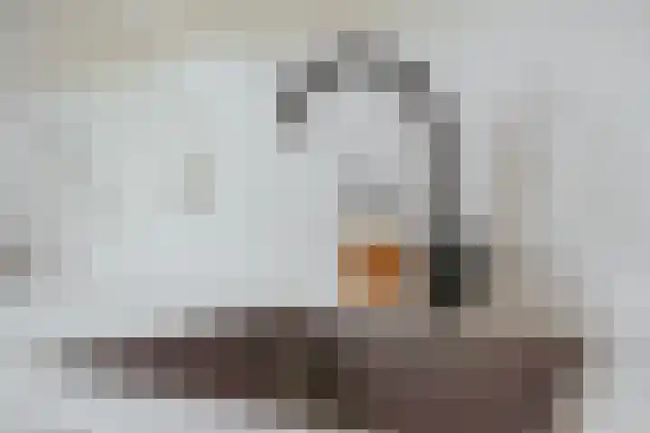 Van Eeghenstraat 8 H Amsterdam thumbnail 16