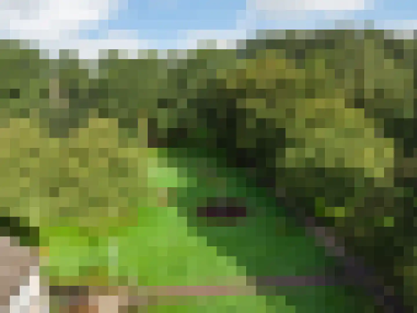Van Eerbeeklaan 7 Uithoorn thumbnail 32