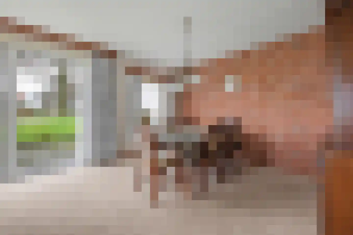 Van Eerdenweg 6 Winterswijk Meddo thumbnail 17
