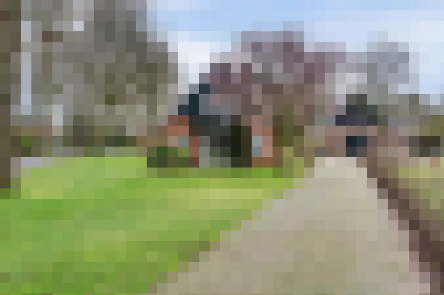 Van Eerdenweg 6 Winterswijk Meddo thumbnail 44