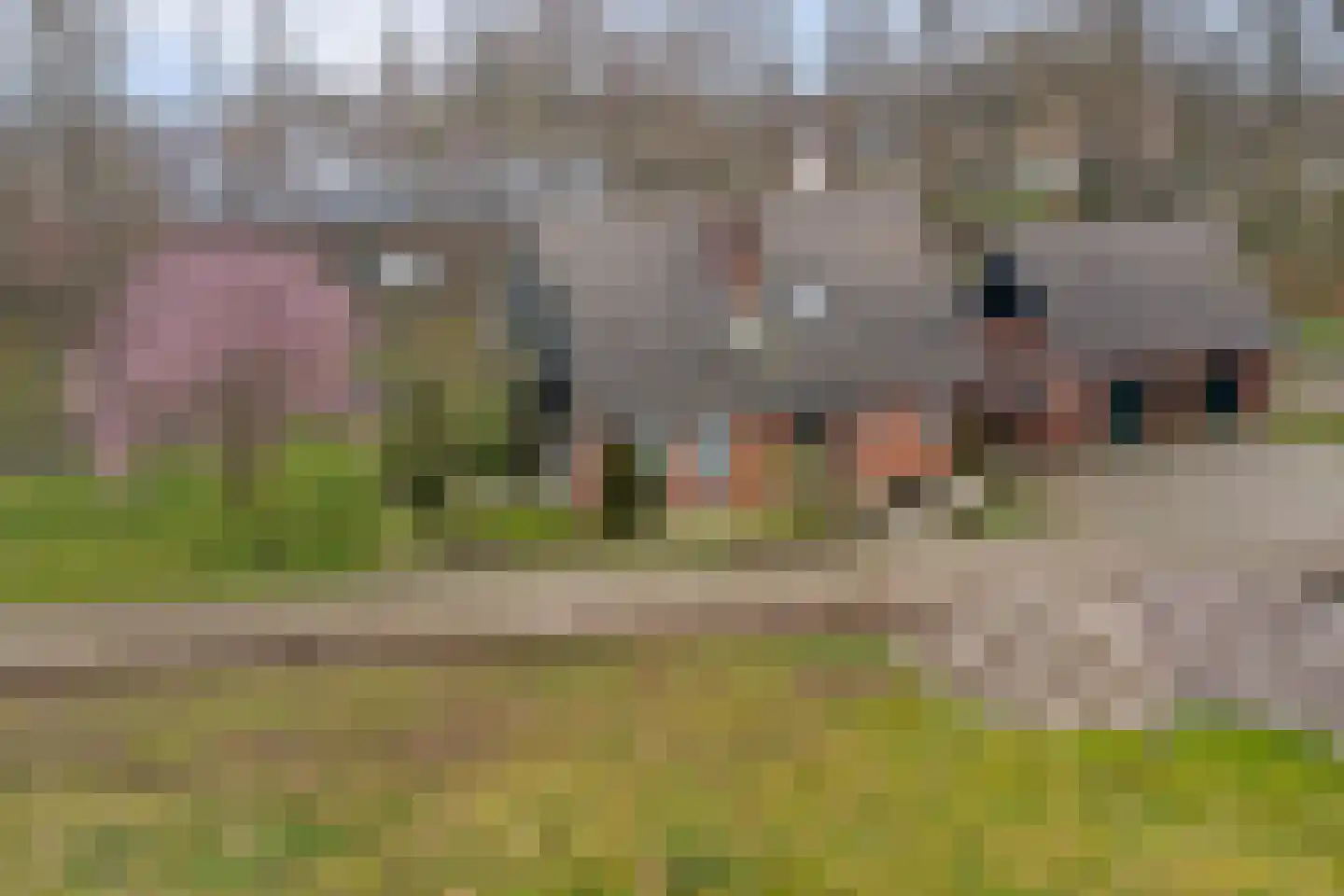 Van Eerdenweg 6 Winterswijk Meddo thumbnail 50