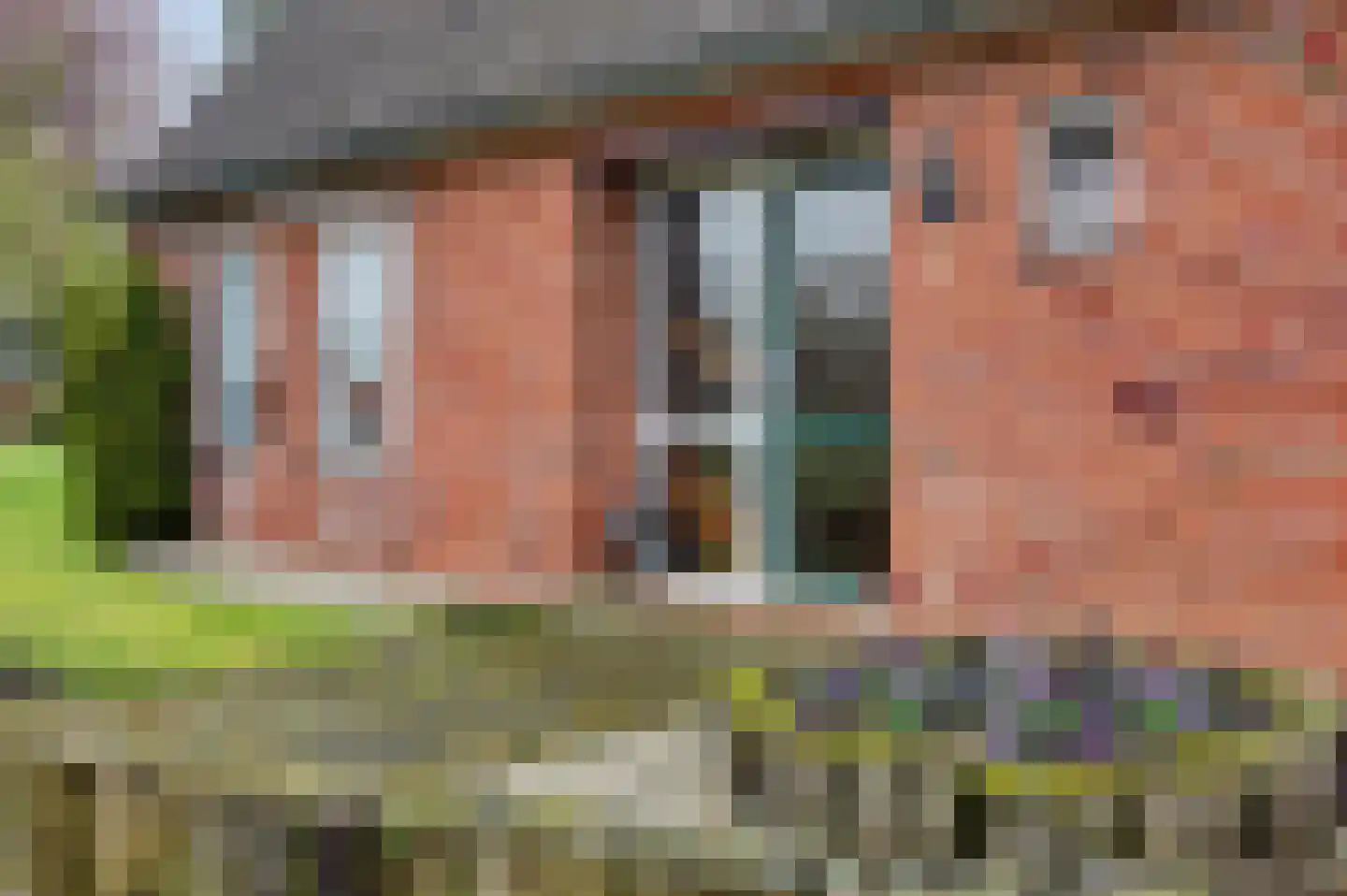 Van Eerdenweg 6 Winterswijk Meddo thumbnail 9