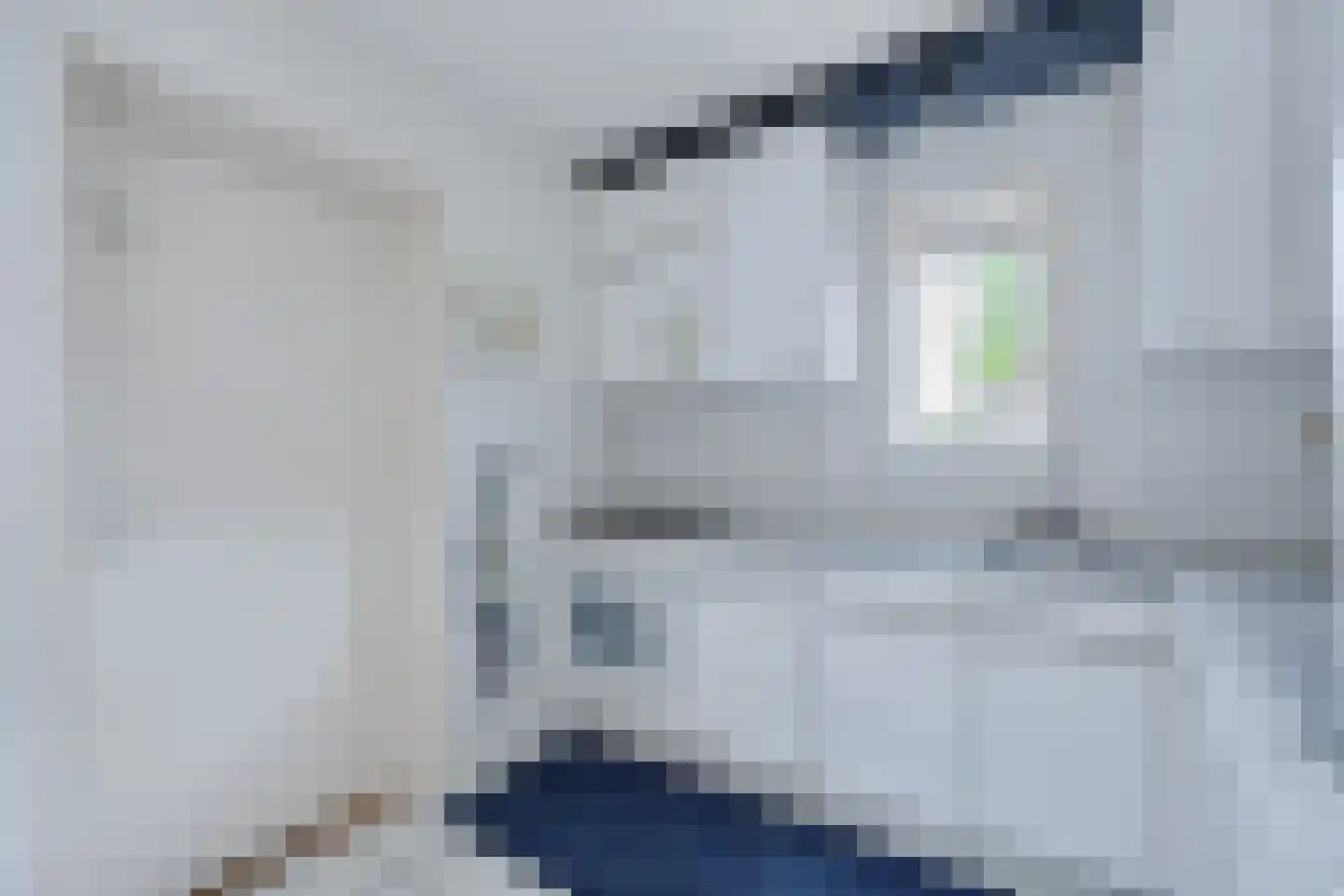 Van Eesterenlaan 19 Groningen thumbnail 21