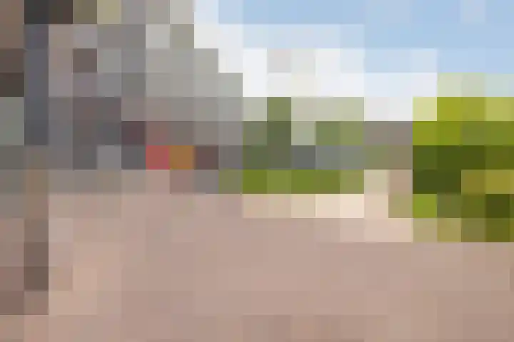 Van Eesterenplein 329 Dordrecht thumbnail 32