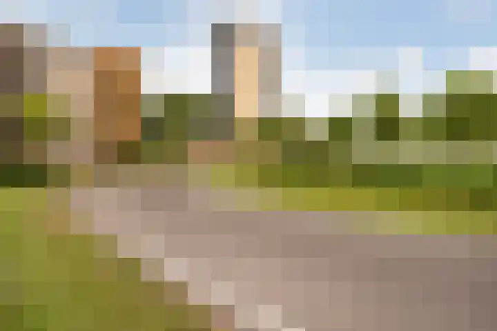 Van Eesterenplein 329 Dordrecht thumbnail 33