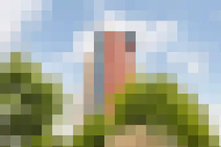 Van Eesterenplein 329 Dordrecht thumbnail 36