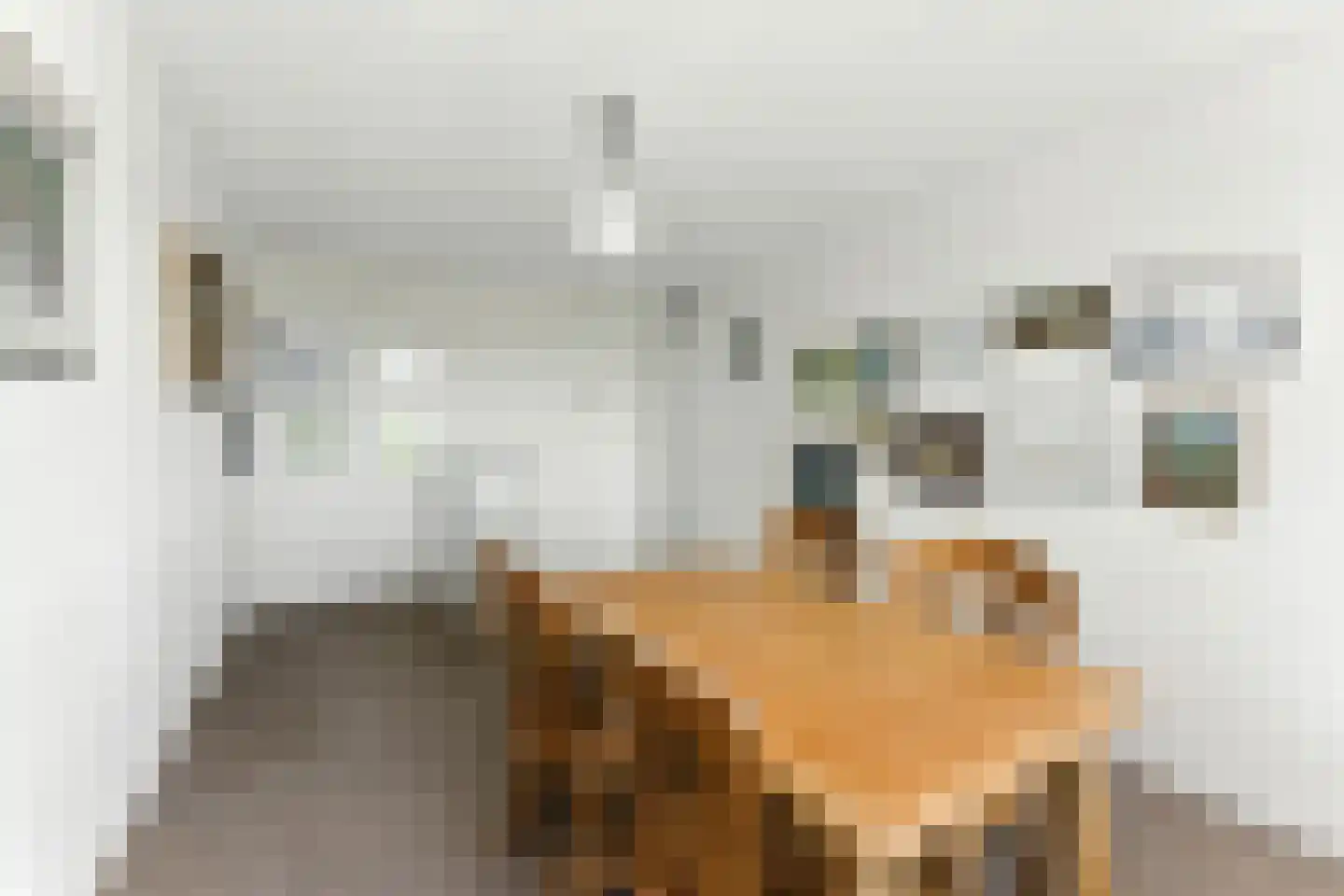 Van Eesterensingel 126 e Alblasserdam thumbnail 21
