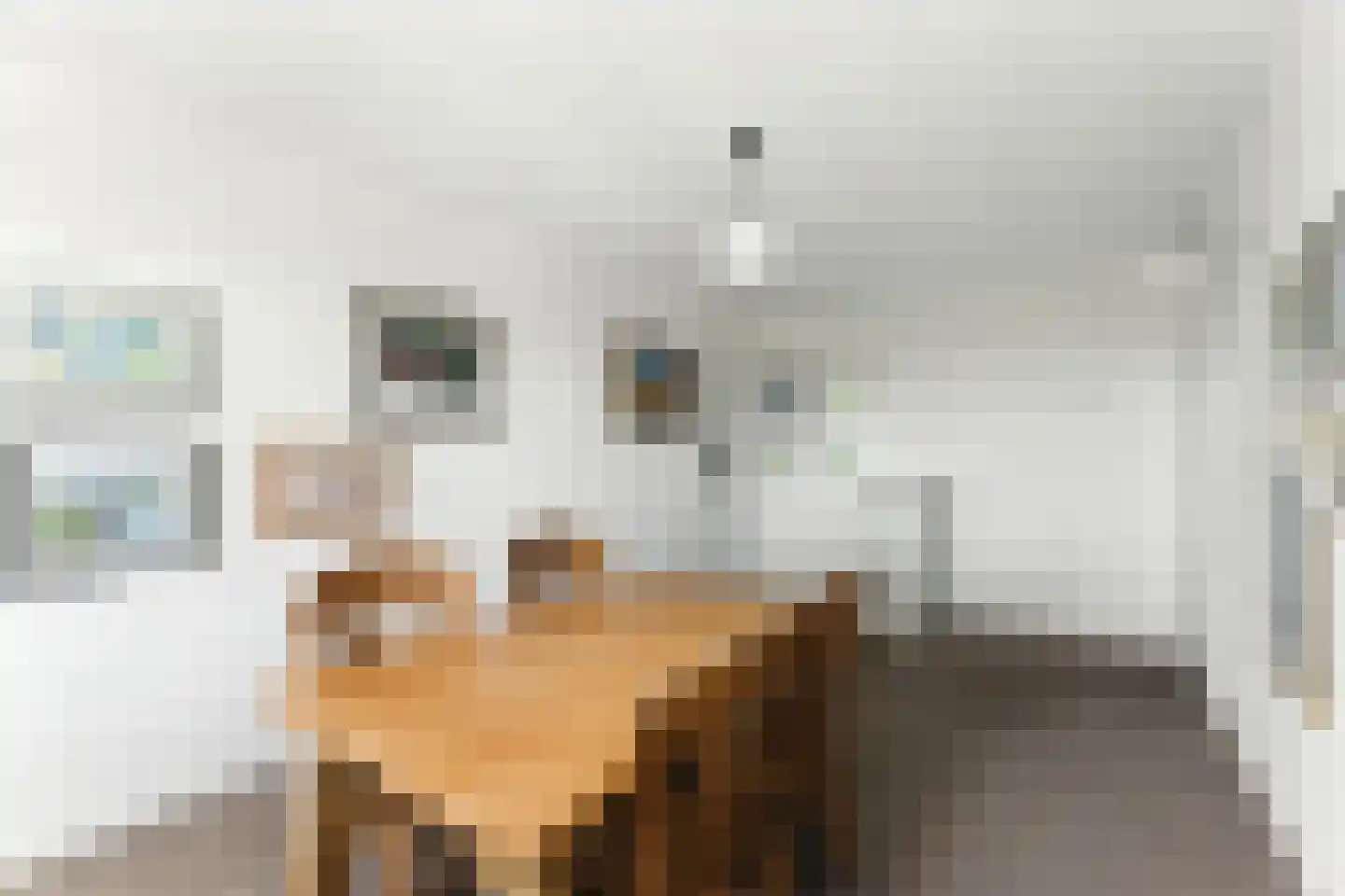 Van Eesterensingel 126 e Alblasserdam thumbnail 22