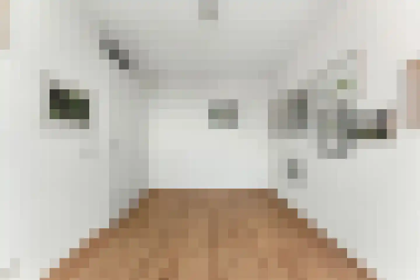 Van Eesterensingel 126 e Alblasserdam thumbnail 32