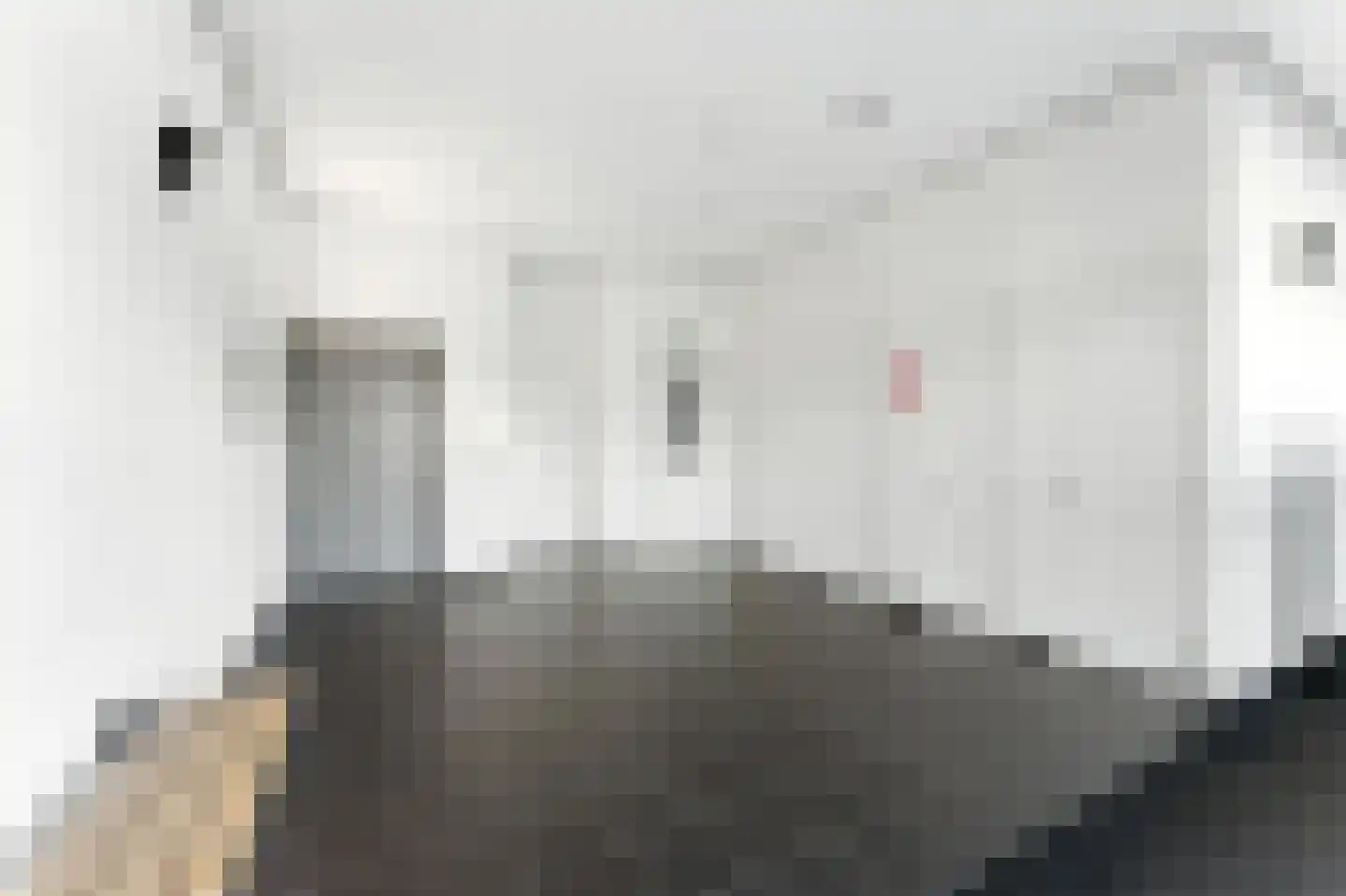 Van Eesterensingel 126 e Alblasserdam thumbnail 42
