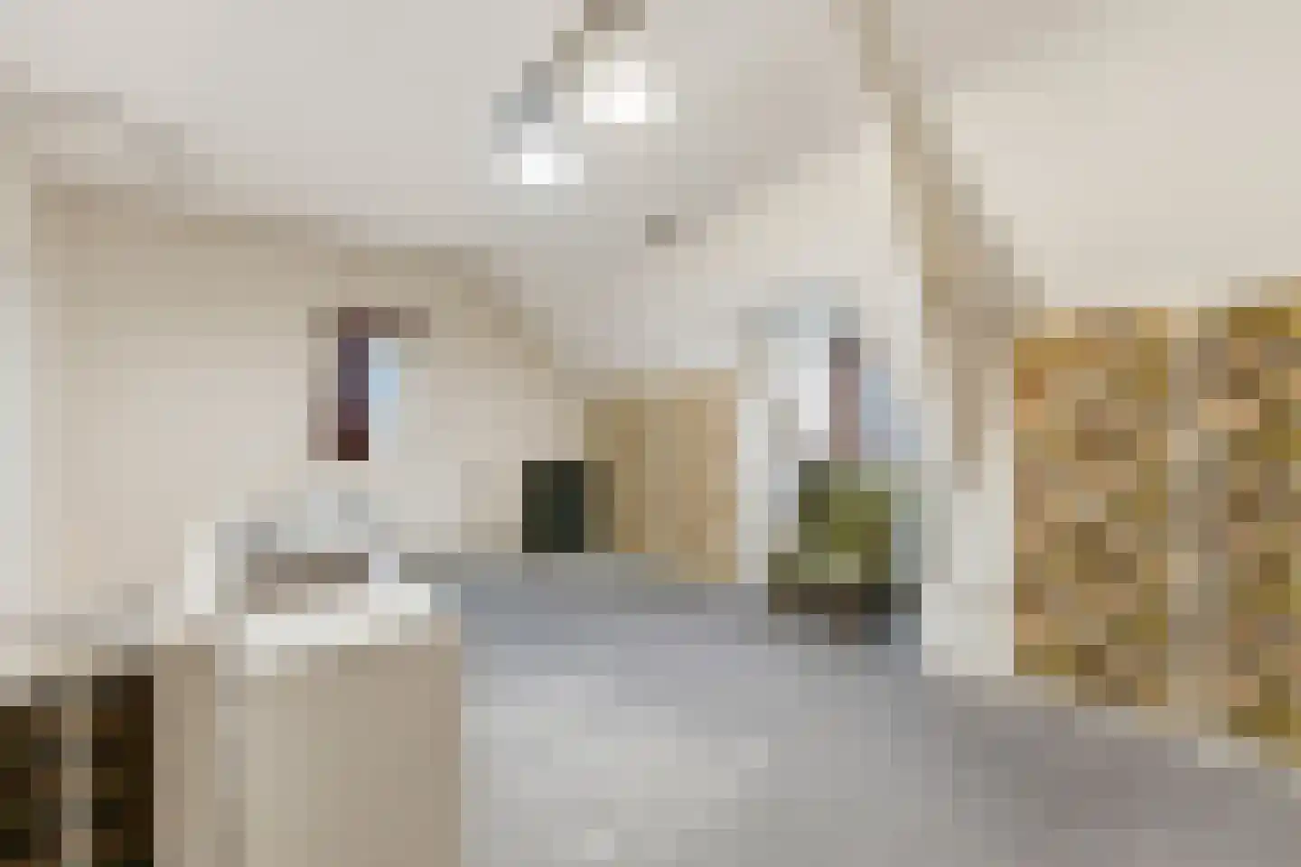 Van Eesterensingel 160 Alblasserdam thumbnail 36
