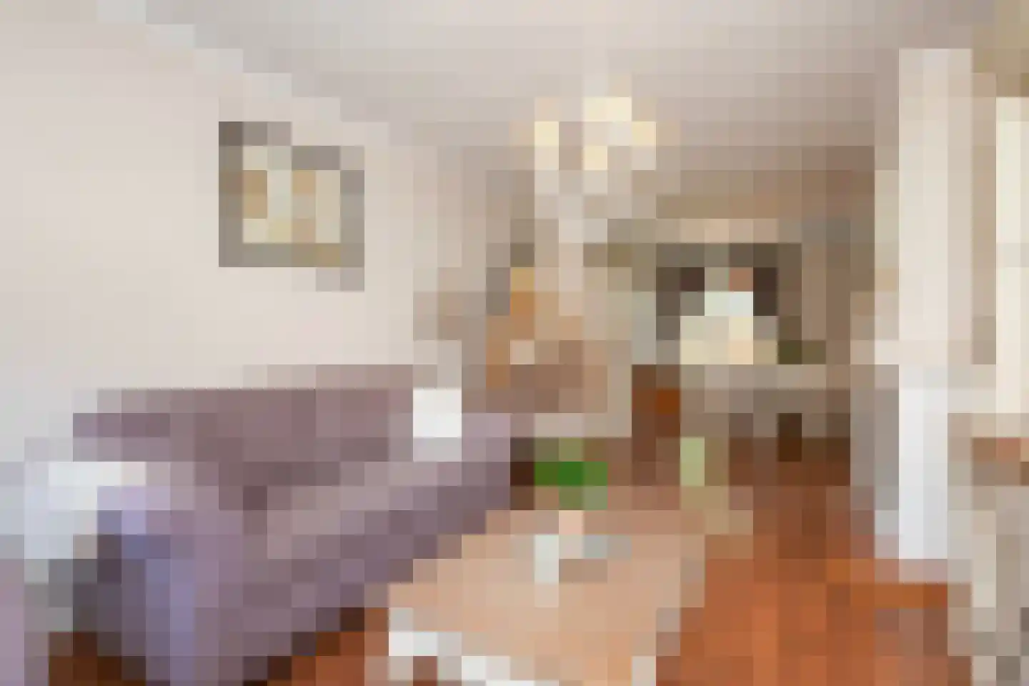Van Eesterensingel 19 Alblasserdam thumbnail 11