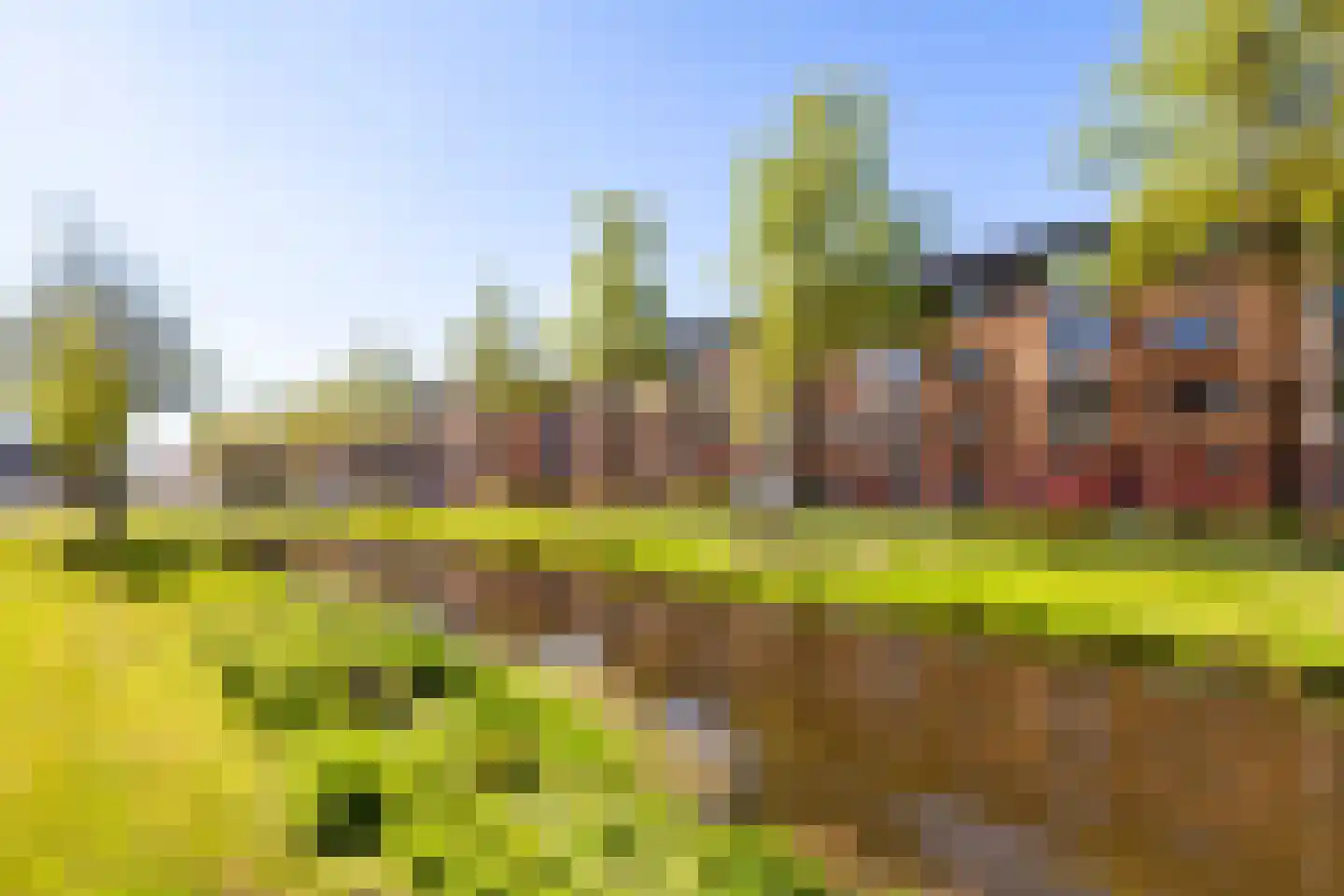 Van Eesterensingel 19 Alblasserdam thumbnail 25