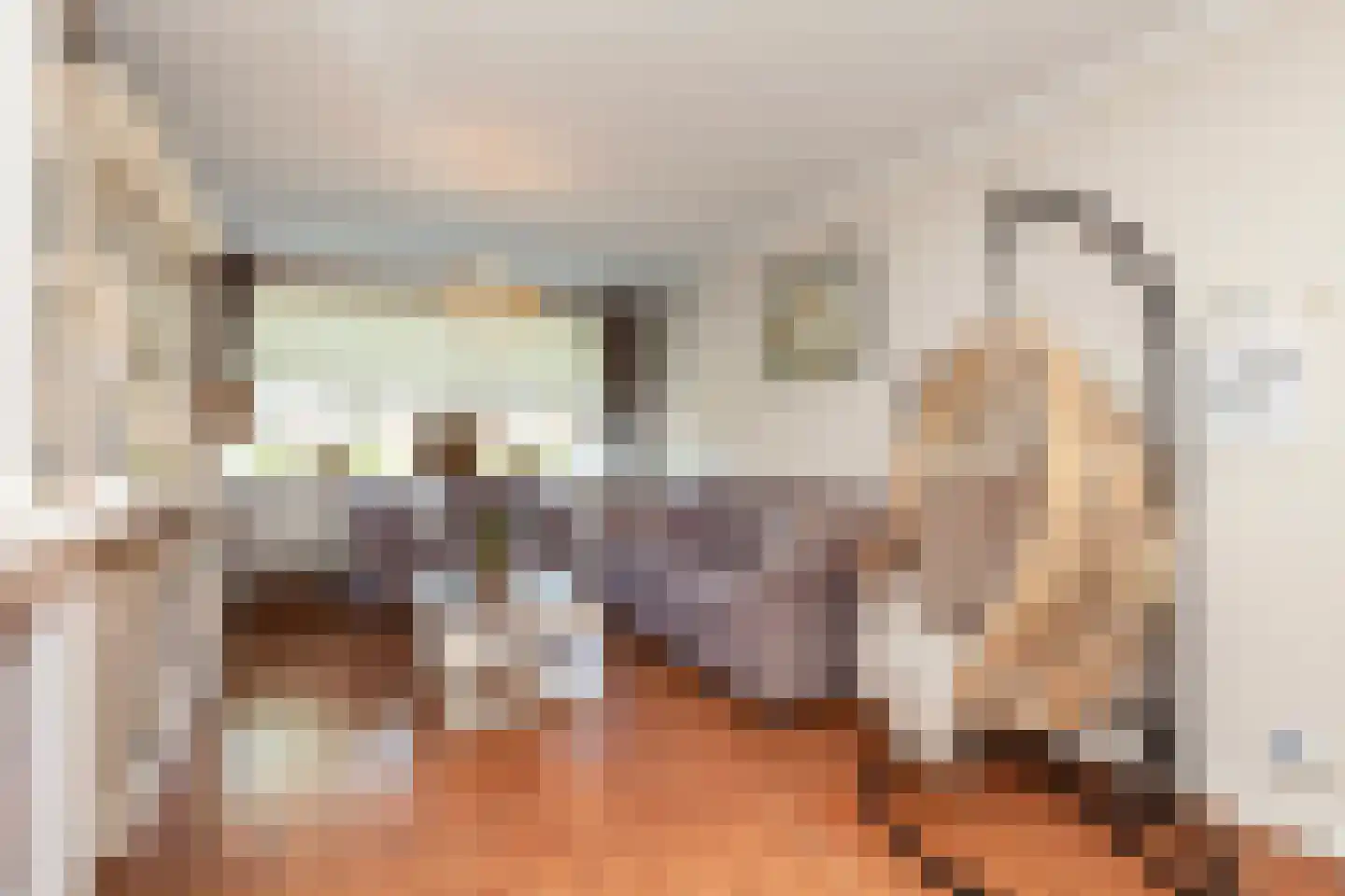 Van Eesterensingel 19 Alblasserdam thumbnail 4