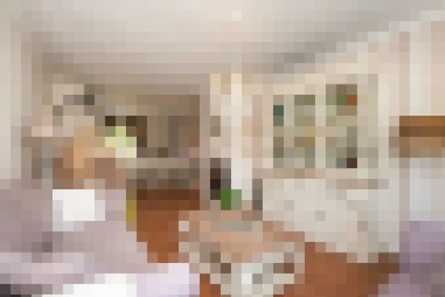 Van Eesterensingel 19 Alblasserdam thumbnail 9