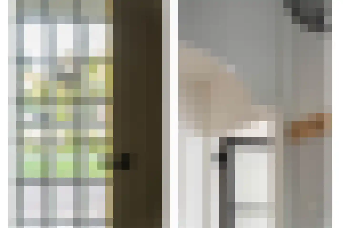 Van Eesterensingel 219 Alblasserdam thumbnail 12