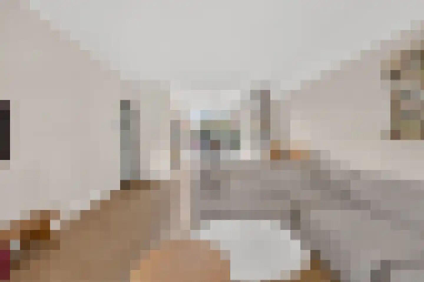 Van Eesterensingel 219 Alblasserdam thumbnail 13