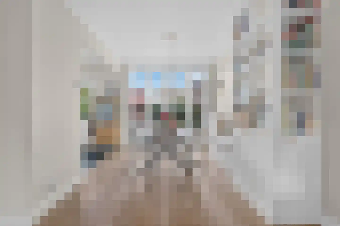 Van Eesterensingel 219 Alblasserdam thumbnail 14