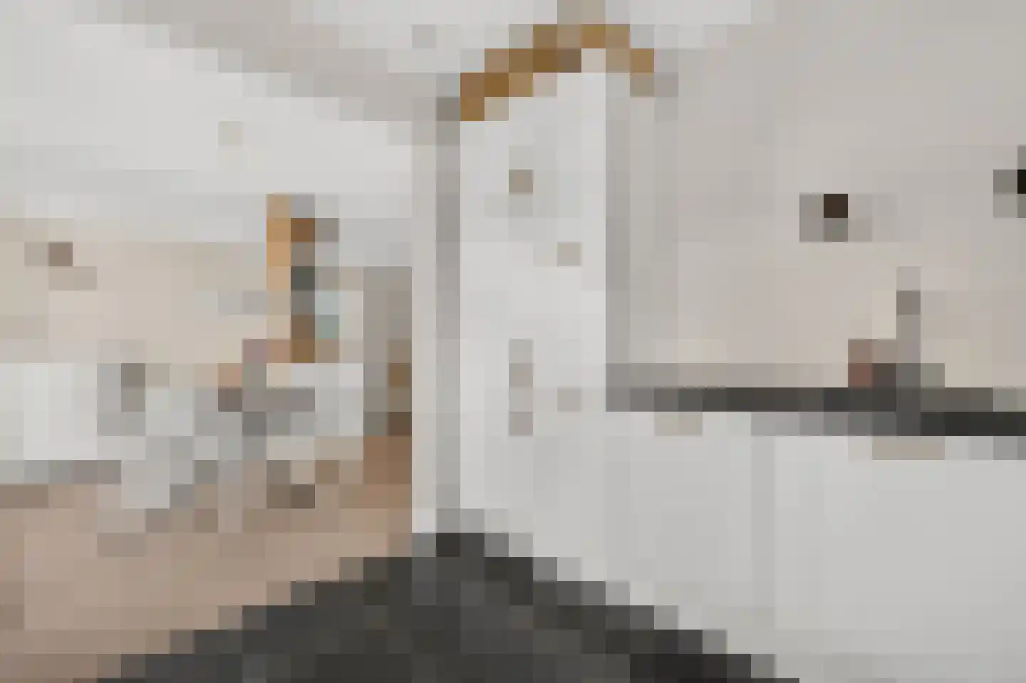 Van Eesterensingel 219 Alblasserdam thumbnail 21