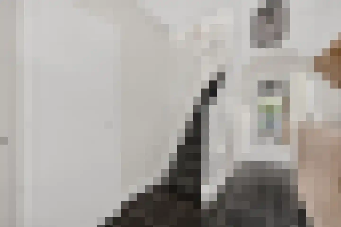 Van Eesterensingel 219 Alblasserdam thumbnail 23
