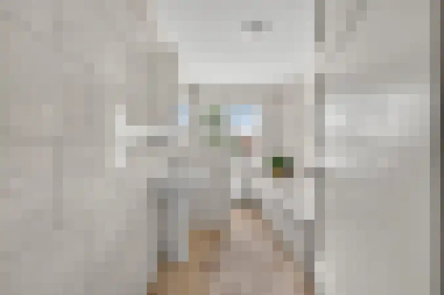 Van Eesterensingel 219 Alblasserdam thumbnail 40