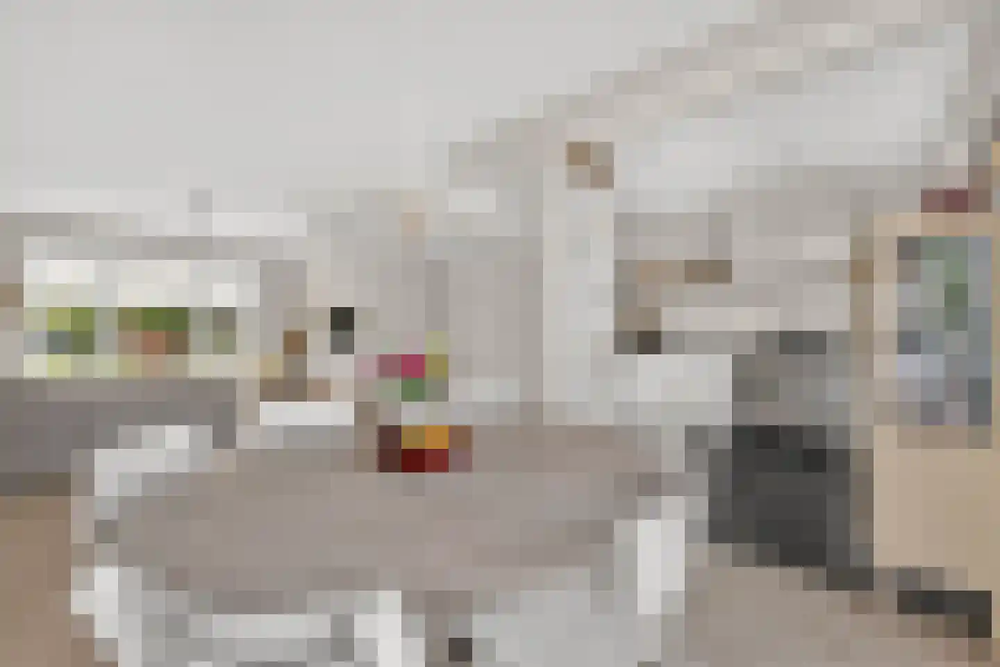 Van Eesterensingel 219 Alblasserdam thumbnail 5